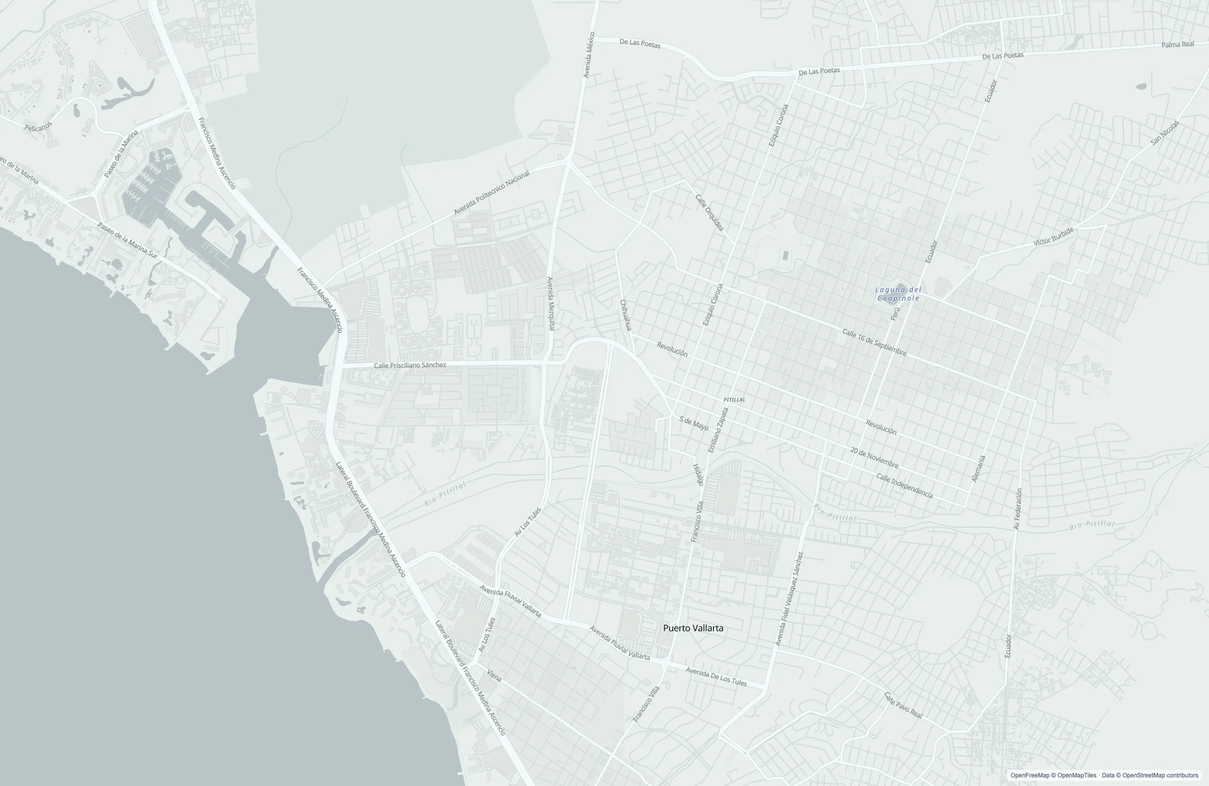 Static street map of the Puerto Vallarta, Mexico port area