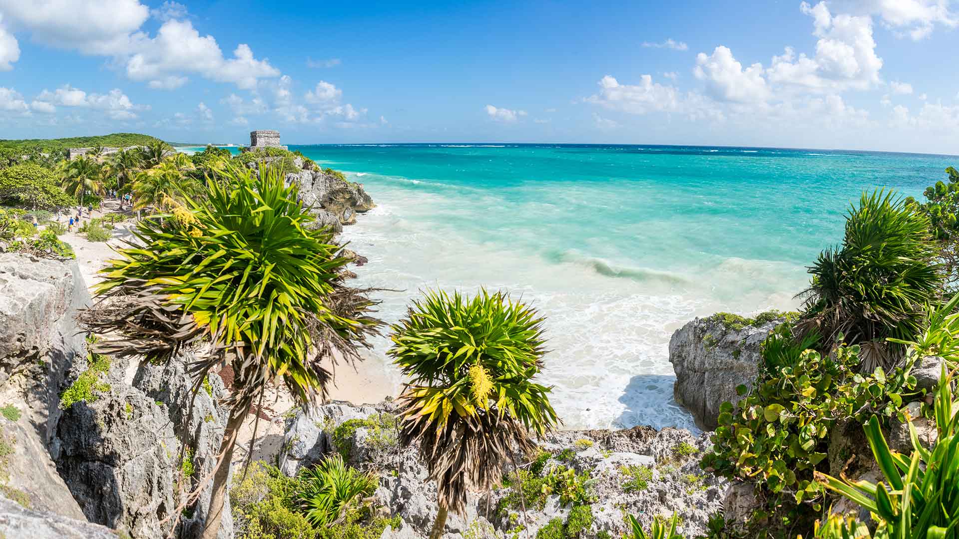 Carnival Paradise - 4-Day Western Caribbean from Tampa, FL