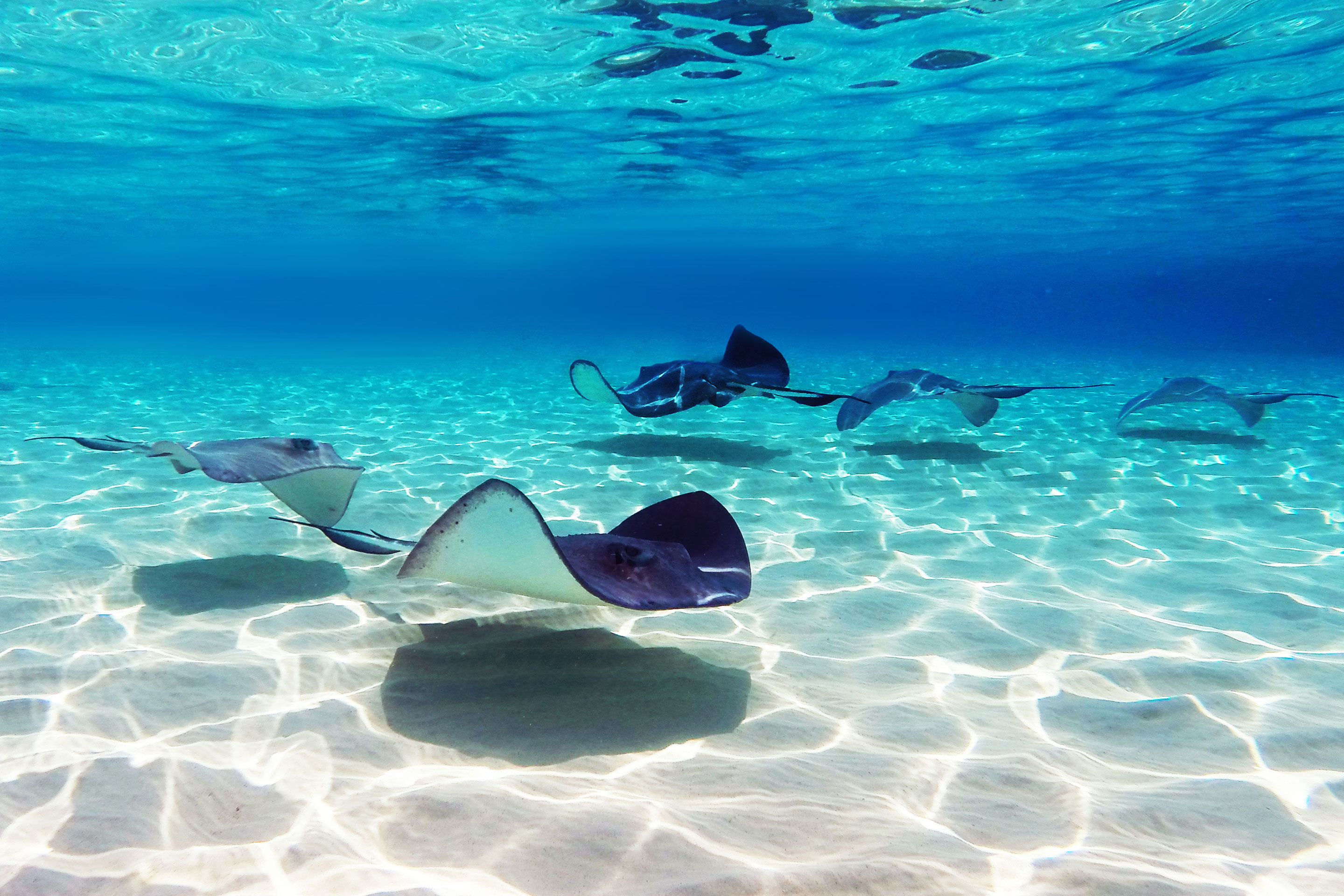 Grand Cayman, Cayman Islands