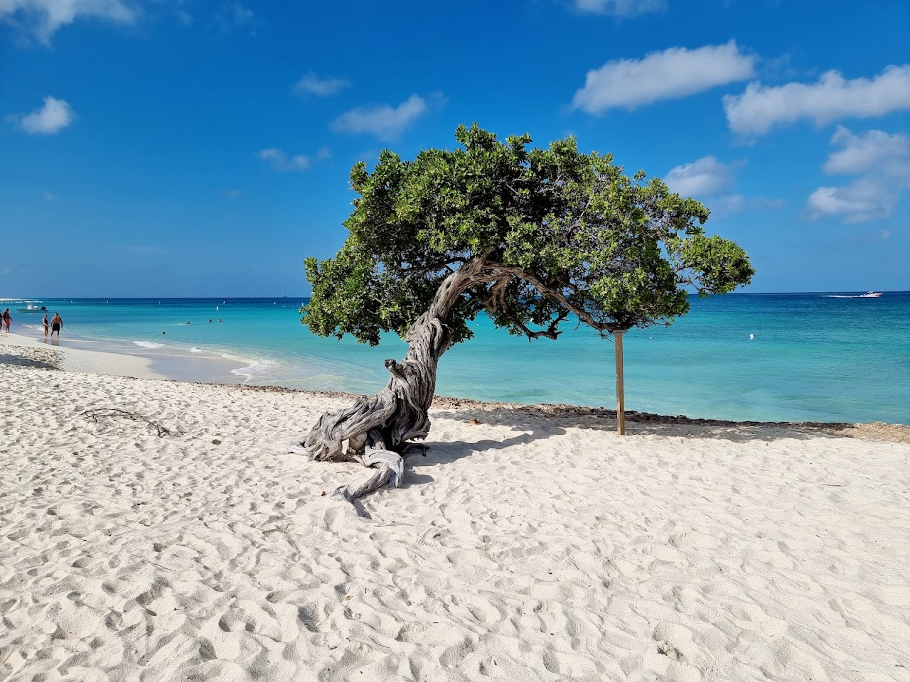 Aruba, Aruba
